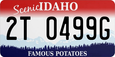ID license plate 2T0499G