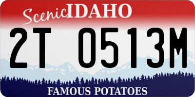 ID license plate 2T0513M