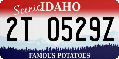 ID license plate 2T0529Z