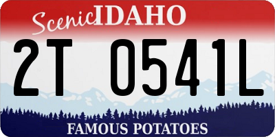 ID license plate 2T0541L