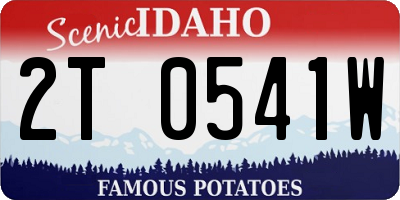 ID license plate 2T0541W