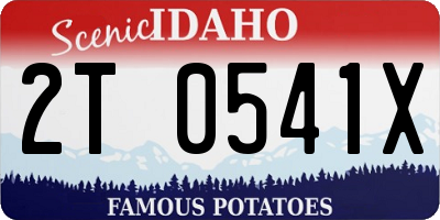 ID license plate 2T0541X