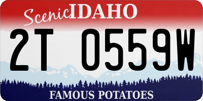 ID license plate 2T0559W