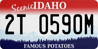 ID license plate 2T0590M