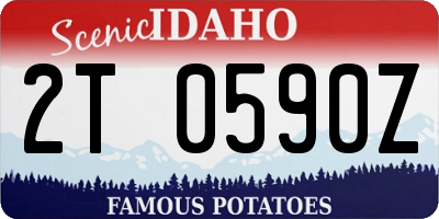 ID license plate 2T0590Z