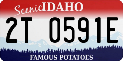 ID license plate 2T0591E