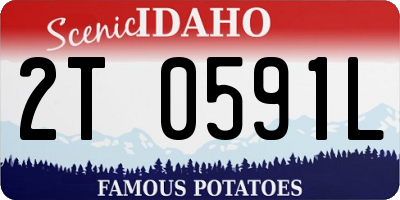 ID license plate 2T0591L