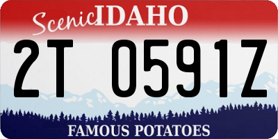 ID license plate 2T0591Z