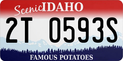 ID license plate 2T0593S