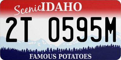 ID license plate 2T0595M