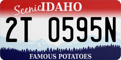ID license plate 2T0595N