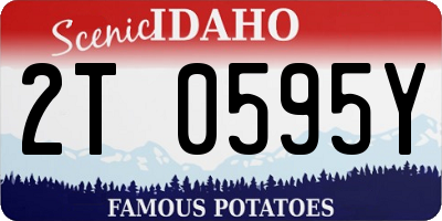 ID license plate 2T0595Y