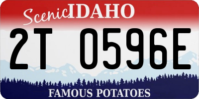 ID license plate 2T0596E