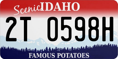 ID license plate 2T0598H
