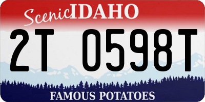 ID license plate 2T0598T