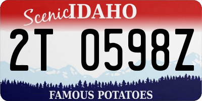 ID license plate 2T0598Z