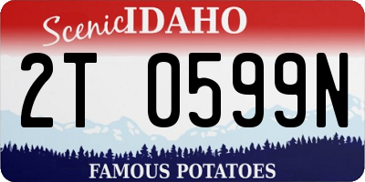 ID license plate 2T0599N