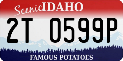 ID license plate 2T0599P