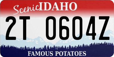 ID license plate 2T0604Z