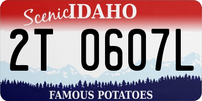 ID license plate 2T0607L