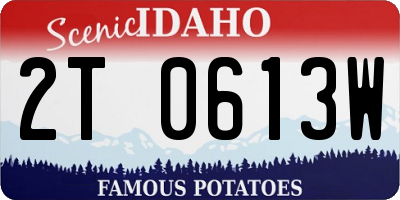 ID license plate 2T0613W