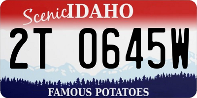 ID license plate 2T0645W
