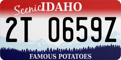 ID license plate 2T0659Z