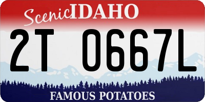ID license plate 2T0667L