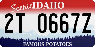 ID license plate 2T0667Z