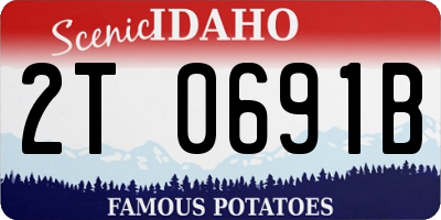 ID license plate 2T0691B