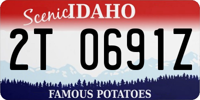 ID license plate 2T0691Z