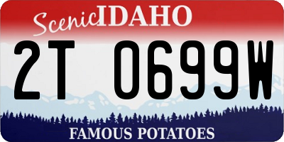 ID license plate 2T0699W