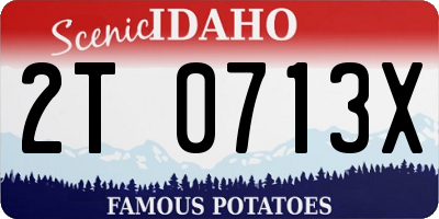 ID license plate 2T0713X