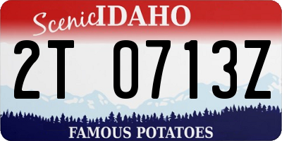 ID license plate 2T0713Z