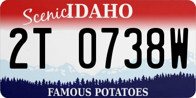 ID license plate 2T0738W