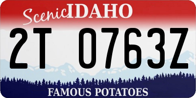 ID license plate 2T0763Z
