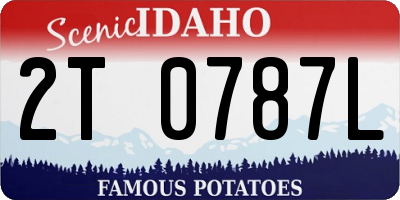 ID license plate 2T0787L