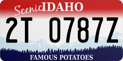 ID license plate 2T0787Z