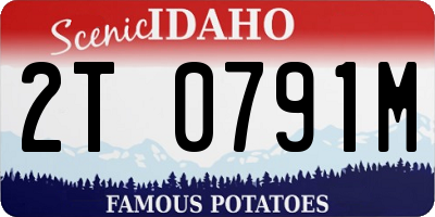 ID license plate 2T0791M