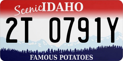 ID license plate 2T0791Y