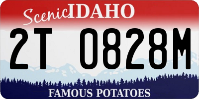 ID license plate 2T0828M