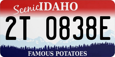 ID license plate 2T0838E