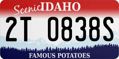 ID license plate 2T0838S