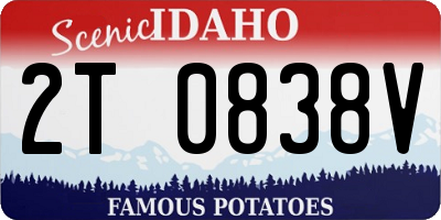 ID license plate 2T0838V