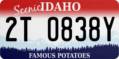 ID license plate 2T0838Y