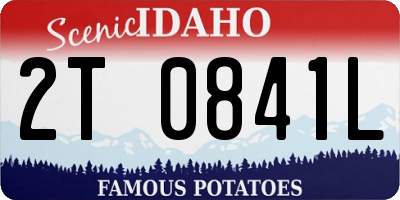ID license plate 2T0841L