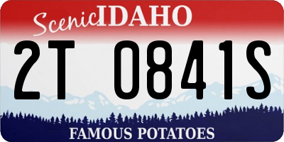 ID license plate 2T0841S