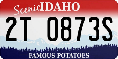 ID license plate 2T0873S