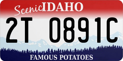 ID license plate 2T0891C
