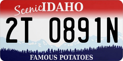 ID license plate 2T0891N